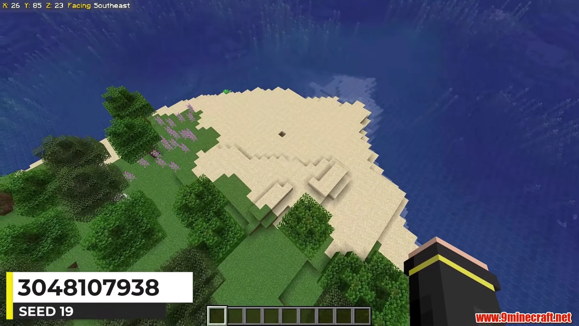 Temperate Forest Isle - Minecraft 26.3 Island Seed 3048107938 view 2