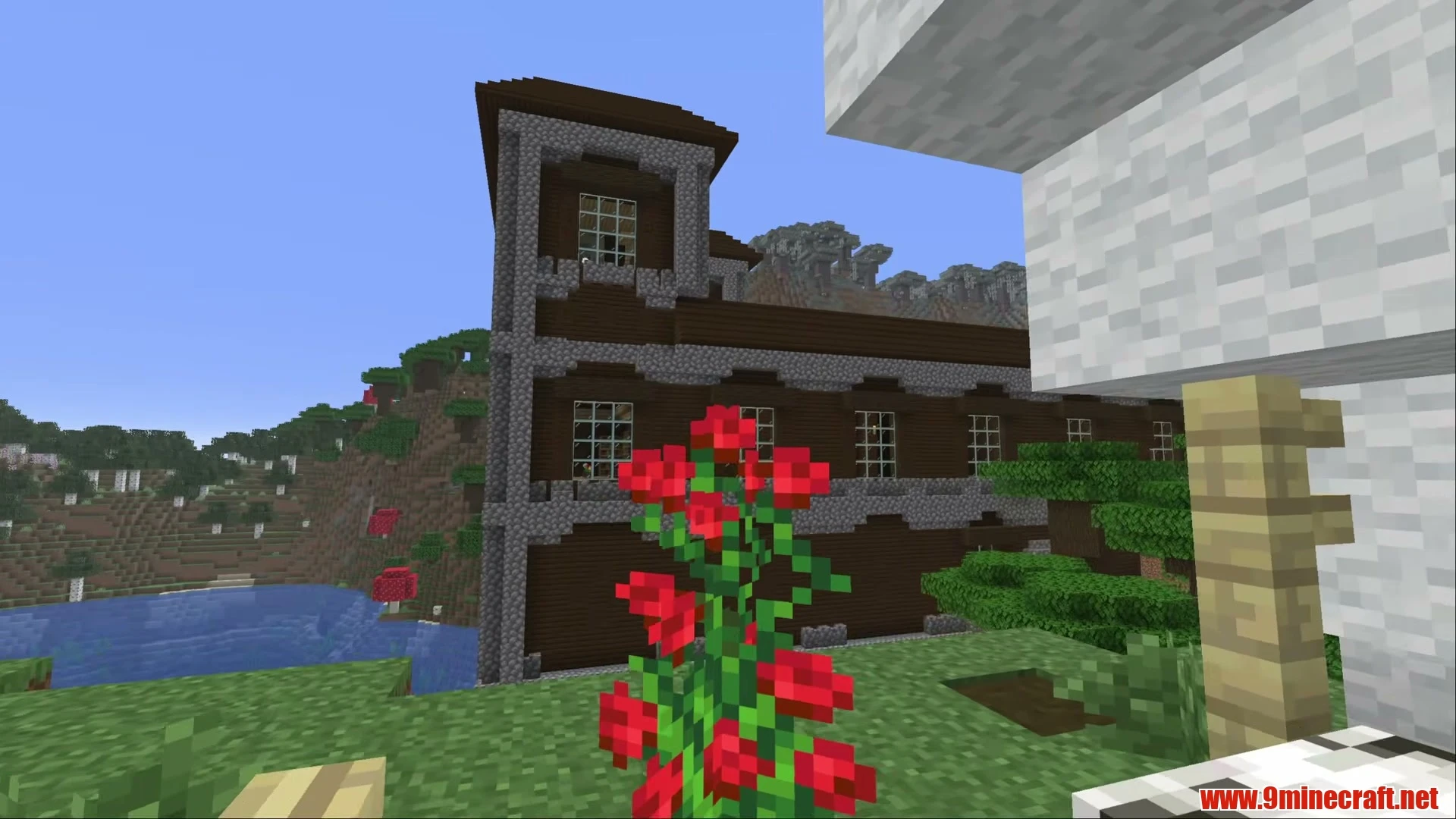 Roofed Forest Dual Villages & Woodland Mansion - Minecraft 26.3 Seed 4374896627388464667 View 3