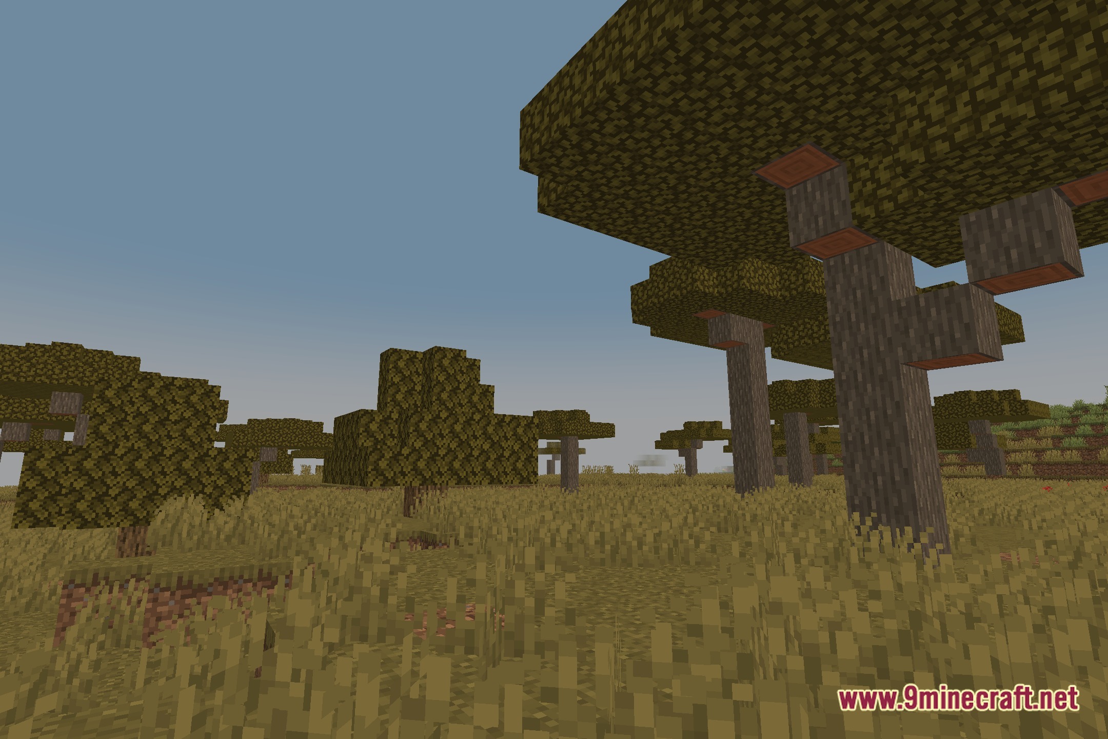 EyeComfort Shaders Screenshot 11
