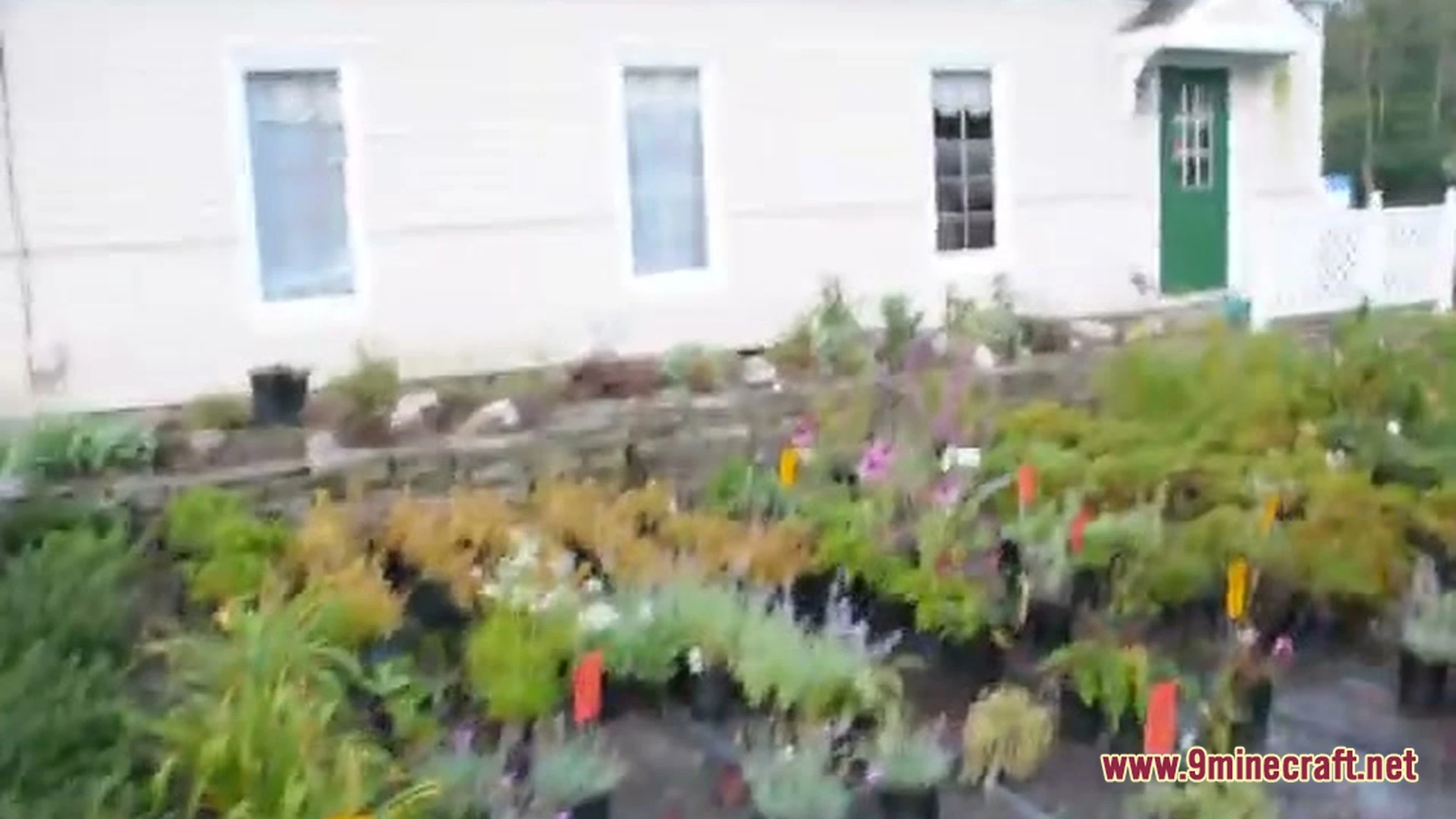 Japanese Maples Acer Palmatum Map (26.3, 1.20.1) – Tranquil Autumn Garden Walk — screenshot 1