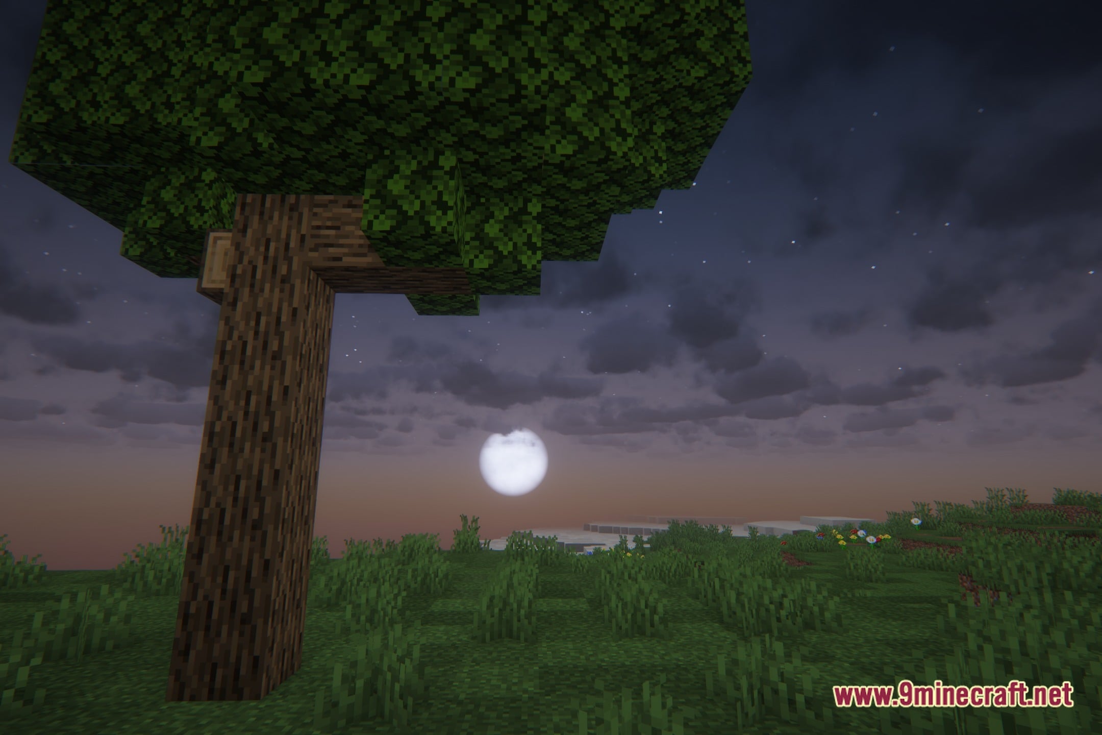 Lively Cinematic Shaders Screenshot 4