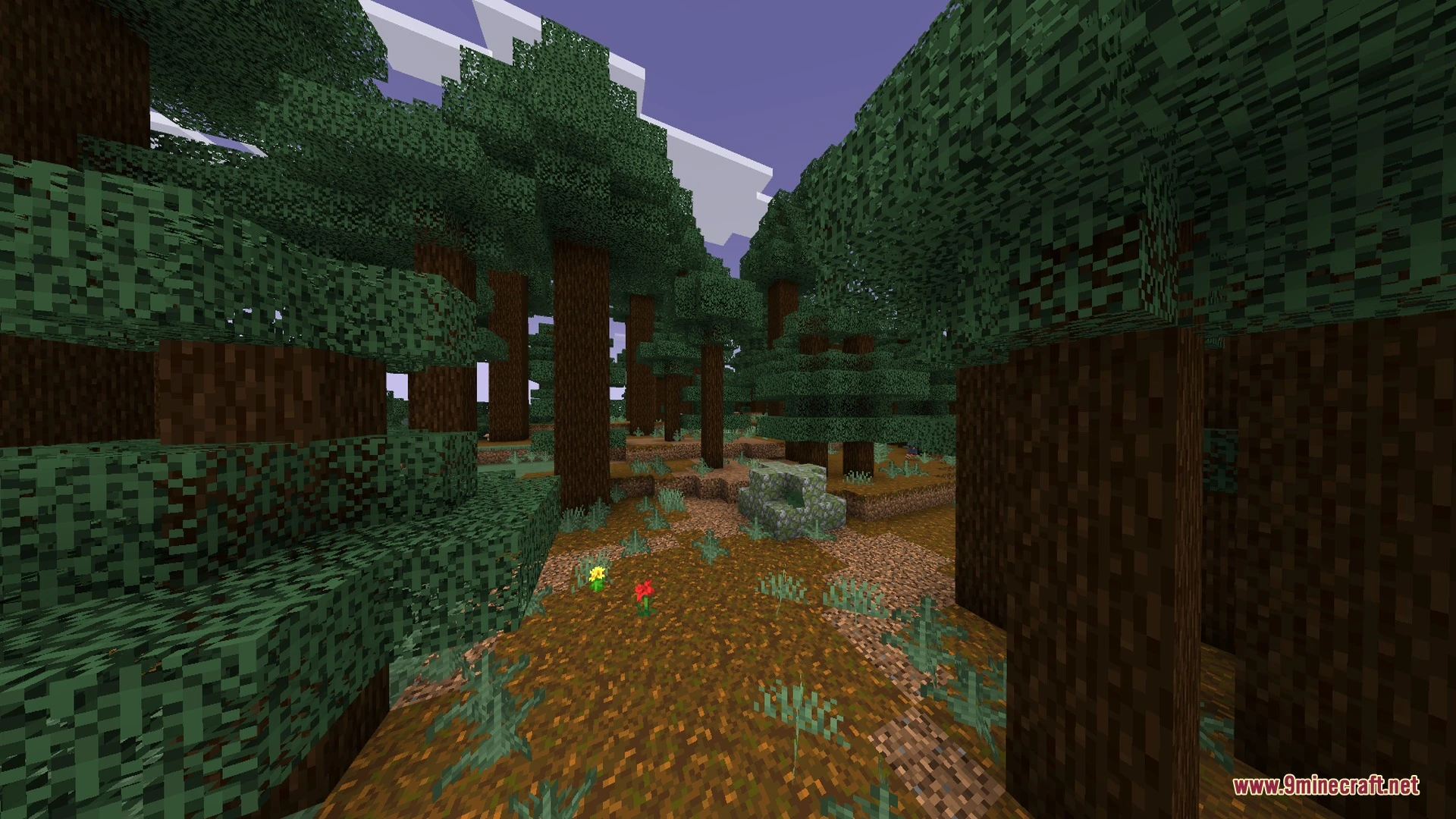 Flamingo Visuals Shader (26.x) – Custom Biome Lighting and PBR Textures Screenshot 8 Flamingo Visuals Shader (26.x) – Custom Biome Lighting and PBR Textures Screenshot 8