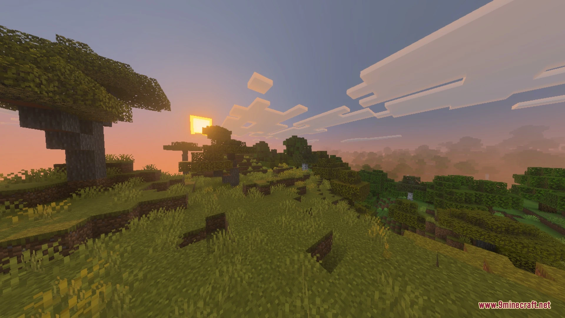 Better Falling Leaves Vanilla Shader (26.x, 1.21) – Leaves Settling on Ground Screenshot 4