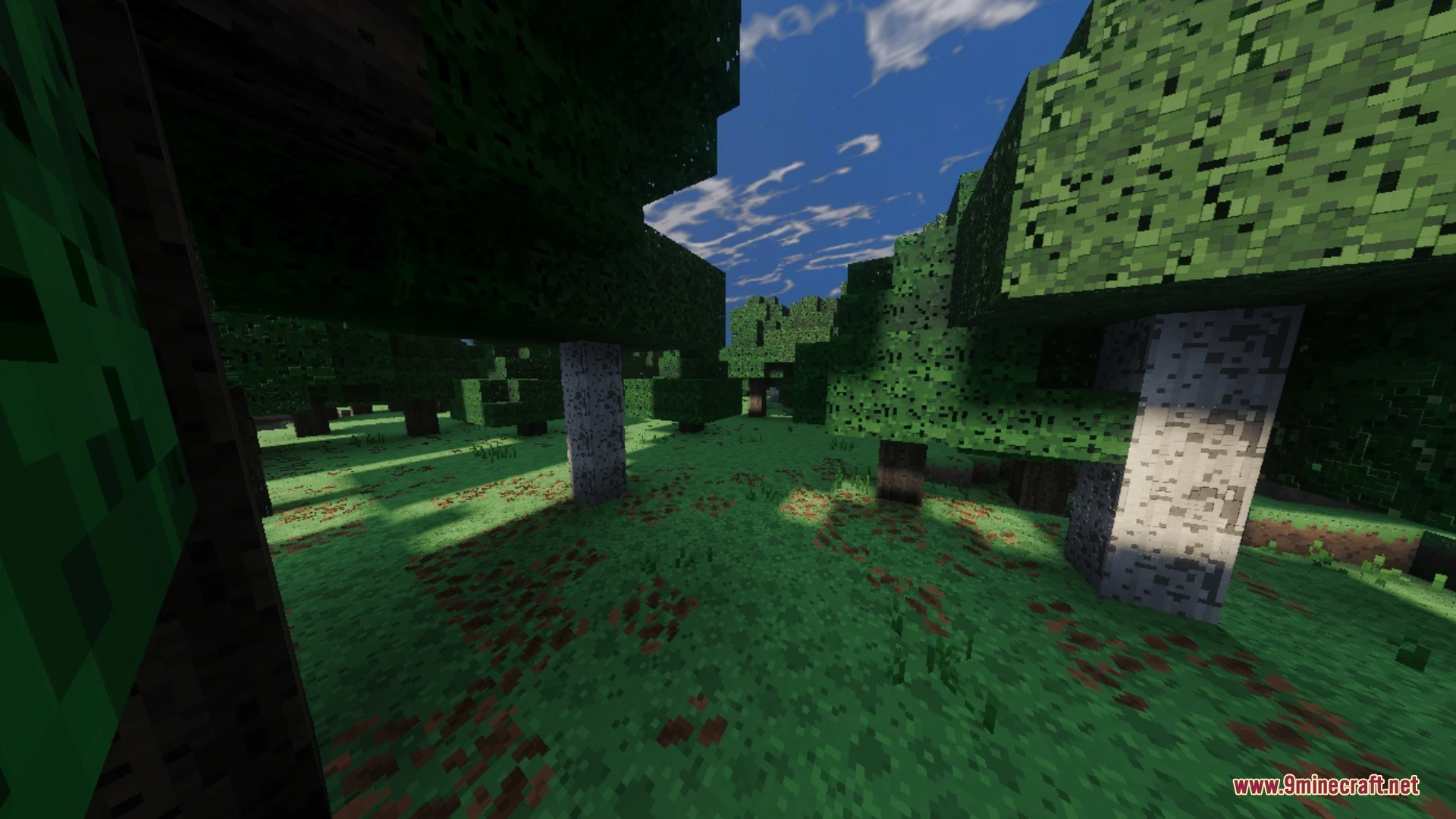 Medieval Overhaul Shader (26.x) – Realistic PBR Textures and Lighting on Bedrock Screenshot 3 Medieval Overhaul Shader (26.x) – Realistic PBR Textures and Lighting on Bedrock Screenshot 3