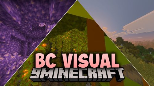 BC Visual Shader (26.x) – Vibrant Water and Vanilla Lighting on Mobile