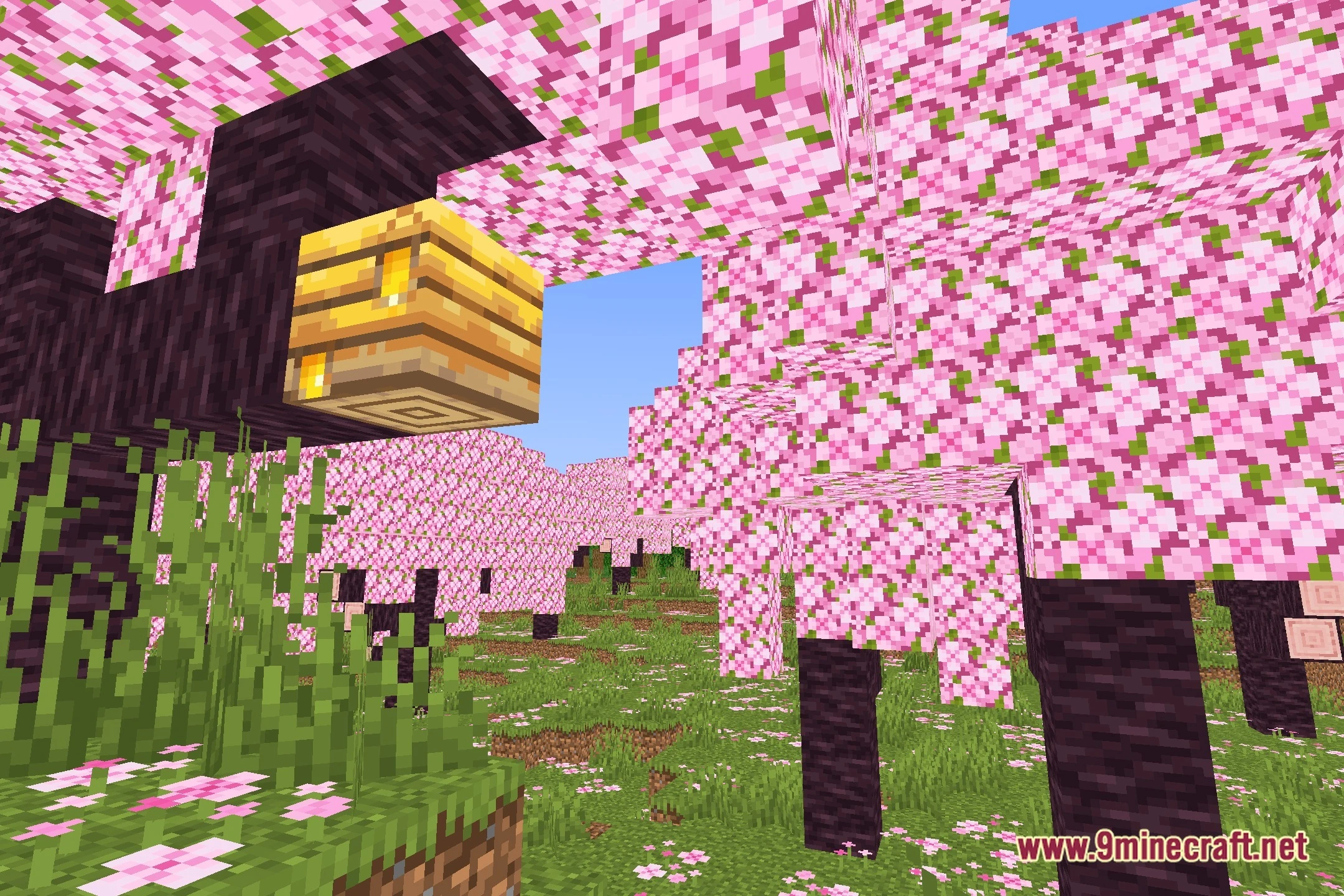 Low Hadal Shaders Screenshot 1