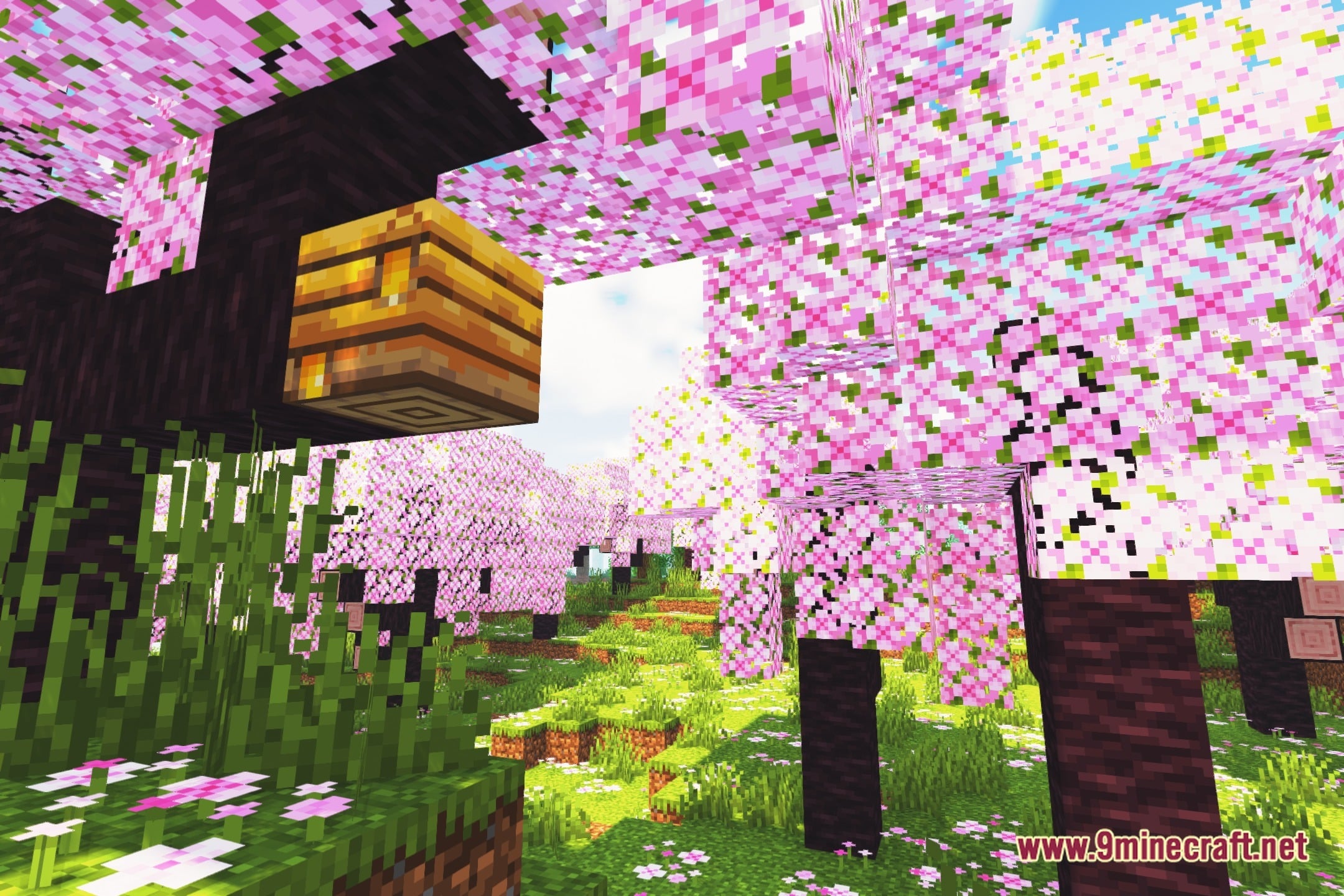 Friendly Shaders Screenshot 1