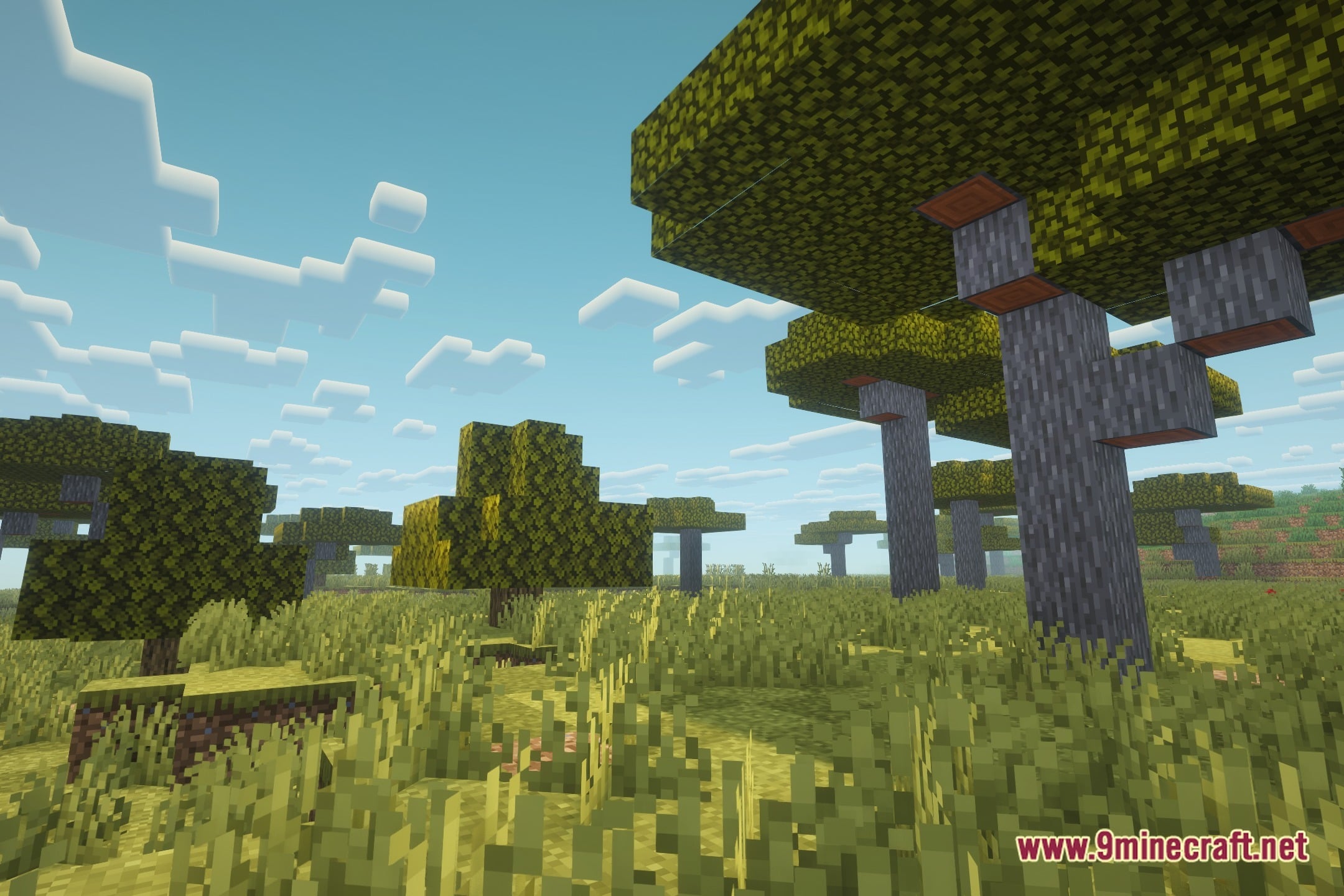Lively Nature Shaders Screenshot 11