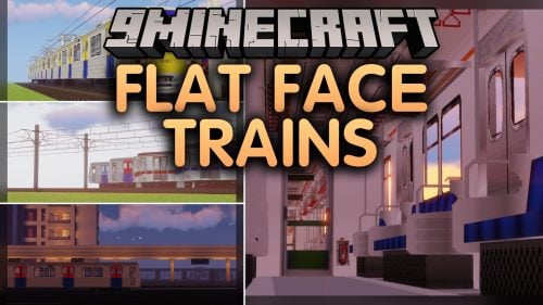 Flat Face Trains Model