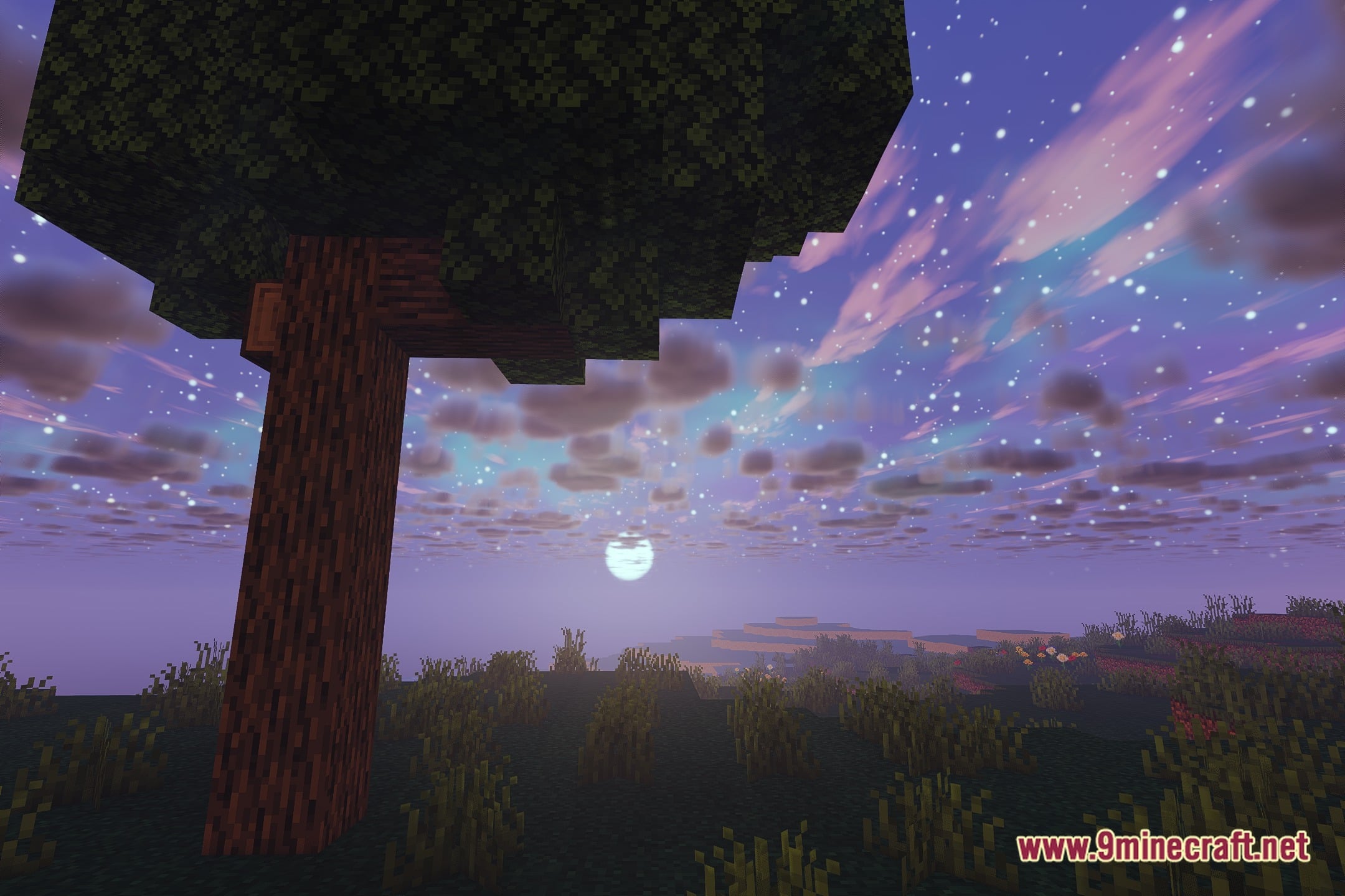 Of Stars Shaders Screenshot 4
